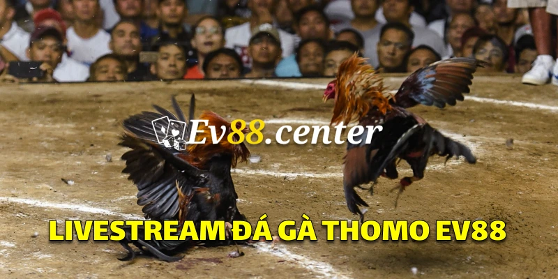 Cung cấp trải nghiệm đặt cược có 1 không 2