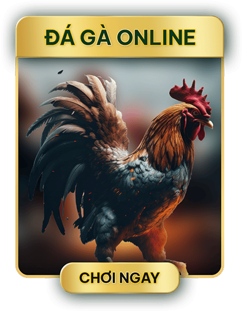 Ev88 Đá Gà